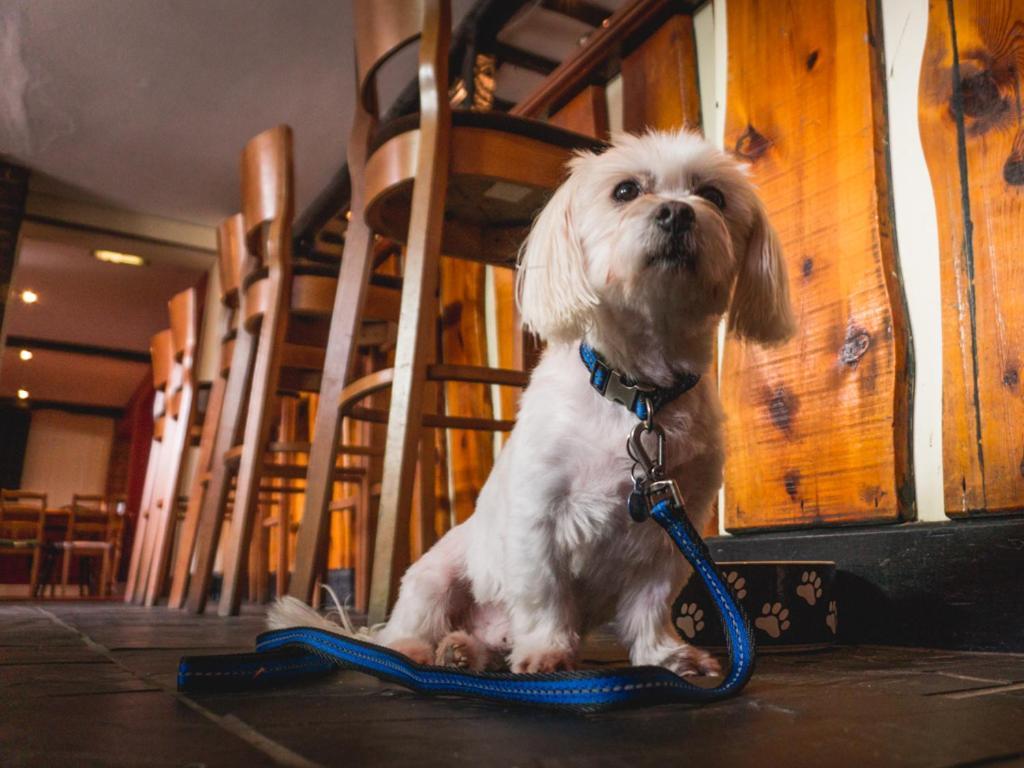 The Shoe Inn Плэйтфорд Экстерьер фото